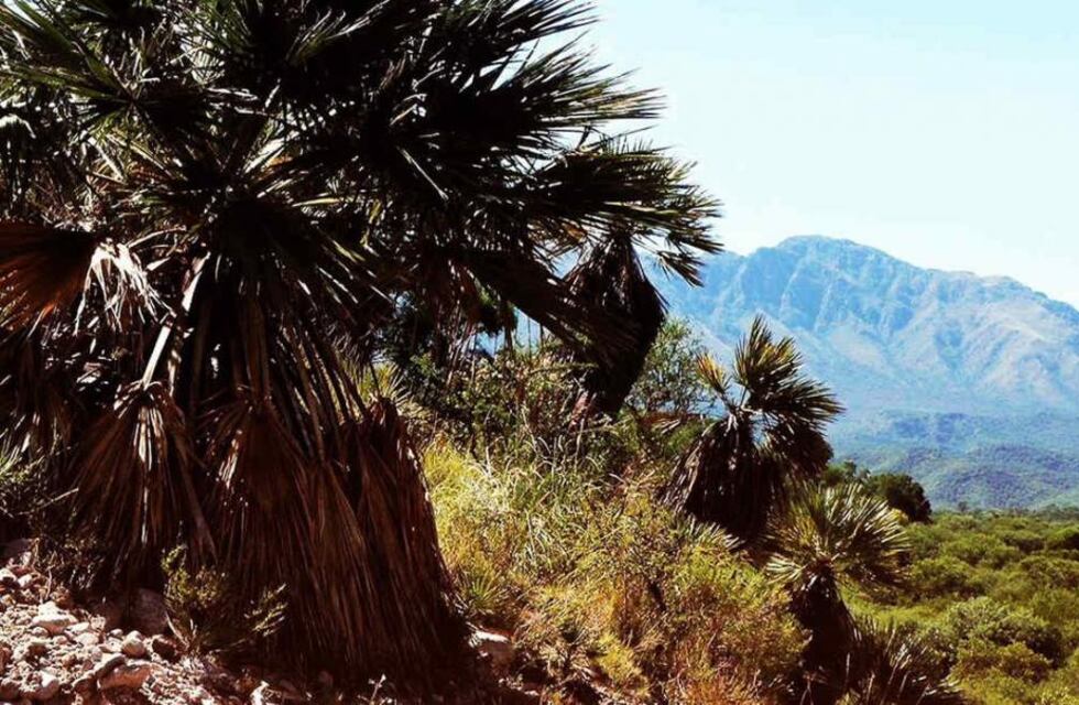 Menos de 250 habitantes y una impactante reserva de hierbas medicinales, así es el rincón natural de Córdoba