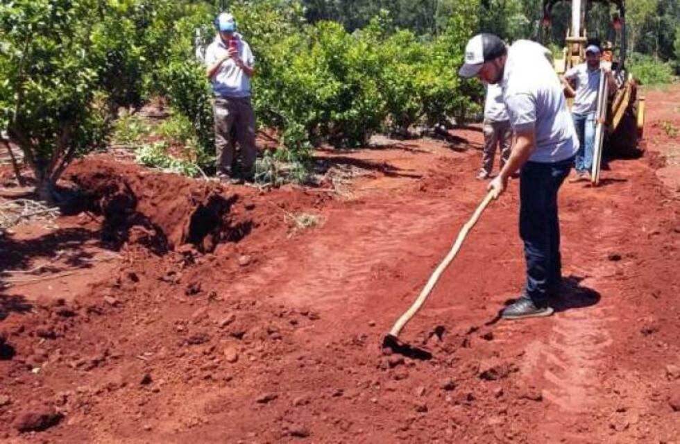 Puerto Esperanza: capacitaron a productores para frenar la erosión y devolver productividad al yerbal