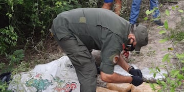 Otros bultos con marihuana se encontraron en la cercanía ante los patrullajes de Gendarmería
