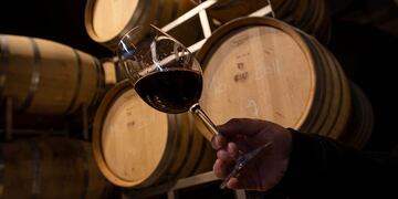 Mendoza tendrá, a partir de mañana, su Distrito del Vino en Buenos Aires. Ignacio Blanco/Los Andes
Bodega Atamisque
Foto: Ignacio Blanco / Los andes