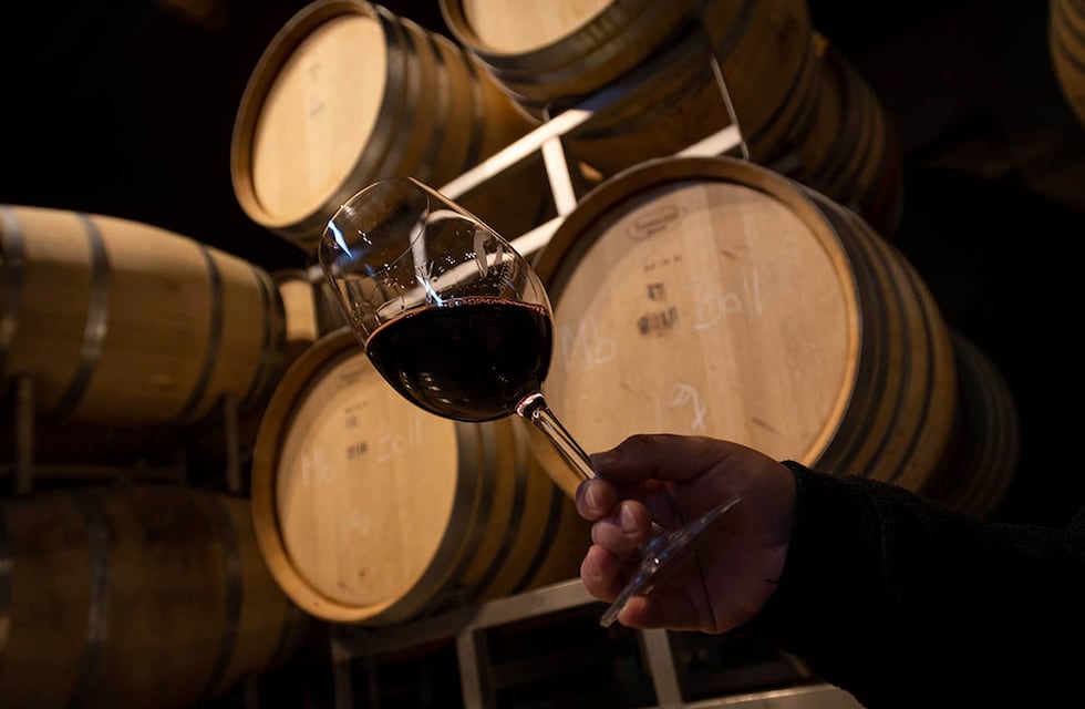 En Buenos Aires habrá un distrito especial para el vino