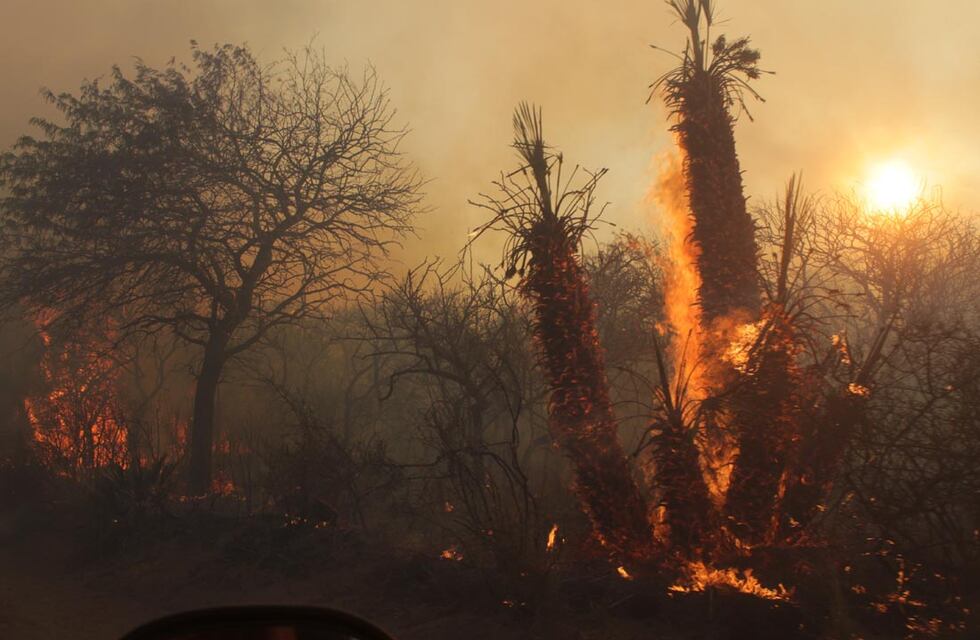 Incendios en Córdoba: las zonas afectadas serán declaradas en desastre agropecuario