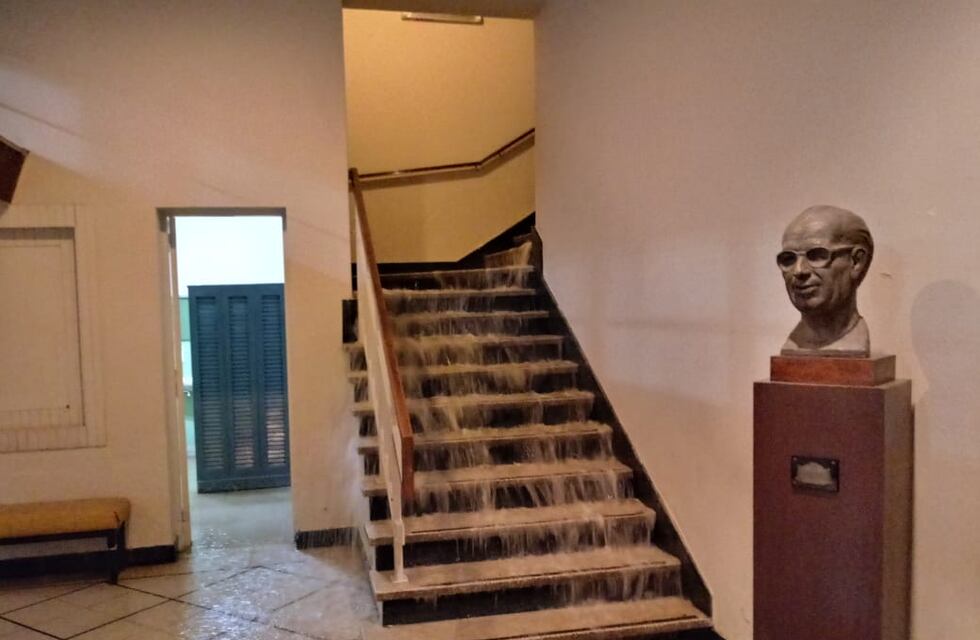 Una fuerte tormenta dejó arboles caídos y calles inundadas