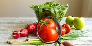 Productos GMO que mediante evolución genética se pueden consumir sin problemas todo el año