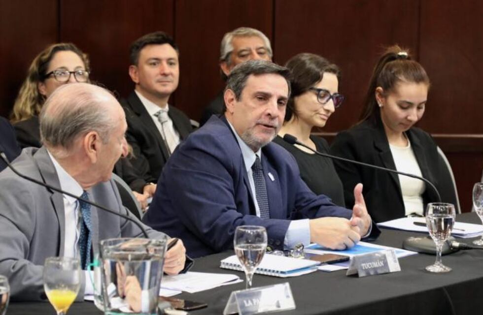 Medina Ruiz presente en el Consejo Federal de Salud 2025