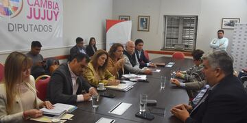 La comisión de Salud de la Legislatura de Jujuy recibió al presidente del Consejo de Médicos de Jujuy, Sebastián Romero Arenas (derecha), quien expuso su preocupación por la proliferación de campañas que estafan a la población con prácticas ilegales de oftalmología.