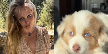 Britney Spears presentó a su cachorro en las redes