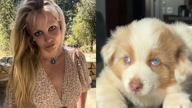 Britney Spears presentó a su cachorro en las redes