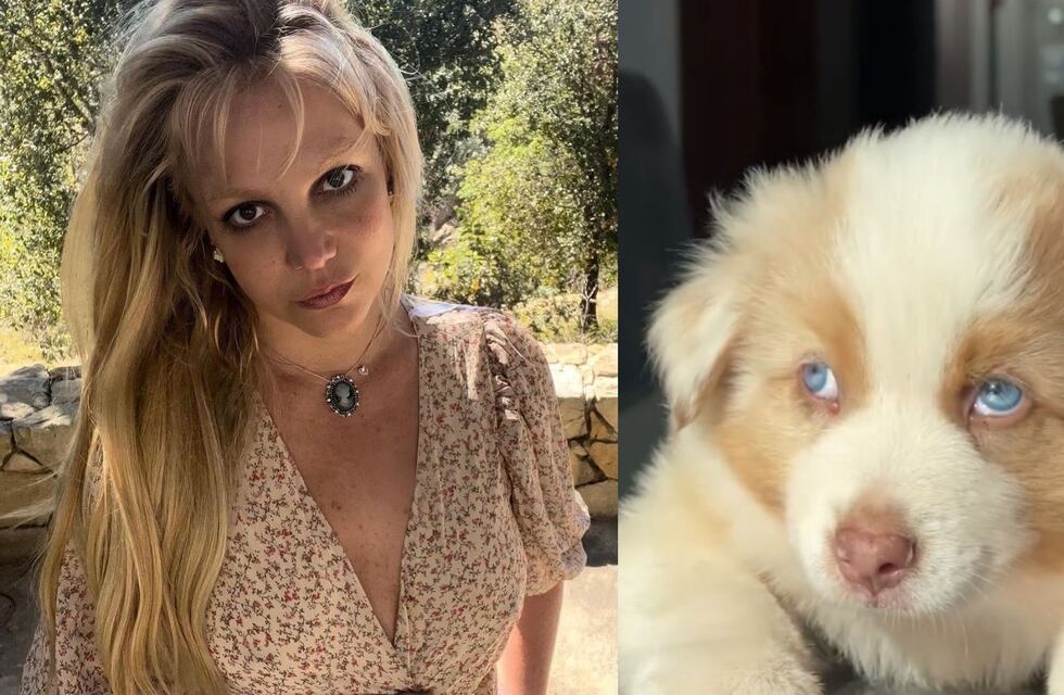 Britney Spears presentó a su nuevo cachorrito y bailó en bikini adelante de él: “Me tiene enamorada”