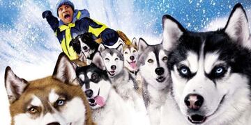 Historias imperdibles sobre perros