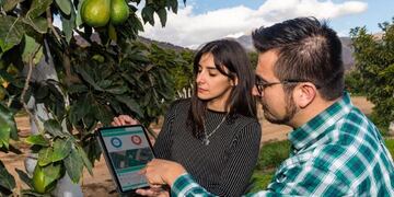 Tres Arroyos: Capacitación  para el uso de información satelital y monitores de rendimiento en la Producción Agropecuaria