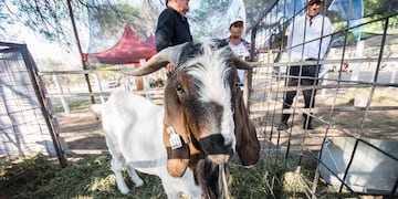 Serán beneficiados un total de 62 productores chaqueños.