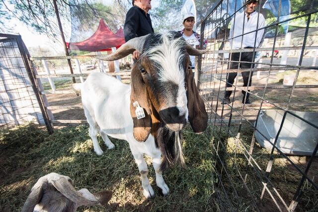 Serán beneficiados un total de 62 productores chaqueños.