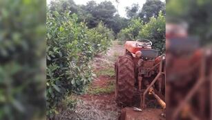Declaran estado de Emergencia Agropecuaria en Misiones por desastres climáticos.