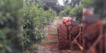 Declaran estado de Emergencia Agropecuaria en Misiones por desastres climáticos.