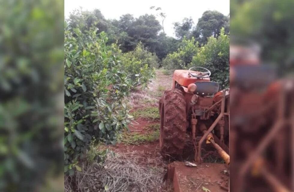 Declaran estado de Emergencia Agropecuaria en Misiones por desastres climáticos
