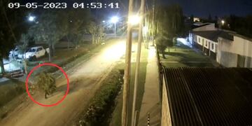 Un hombre mató a otro y se fue con la planta de marihuana.