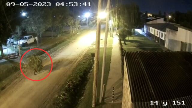 Un hombre mató a otro y se fue con la planta de marihuana.