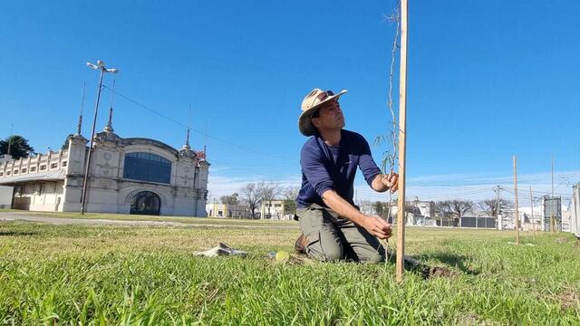 Comenzó la forestación en la Sociedad Rural de Rafaela