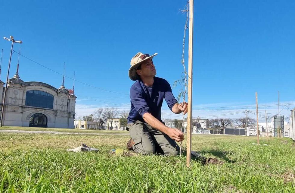 Empezó la primera etapa de forestación de la Sociedad Rural de Rafaela