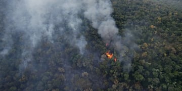 Continúan los incendios en la Reserva Guaraní en El Soberbio que ya arrasó con más de 300 hectáreas de selva.