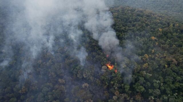 Continúan los incendios en la Reserva Guaraní en El Soberbio que ya arrasó con más de 300 hectáreas de selva.