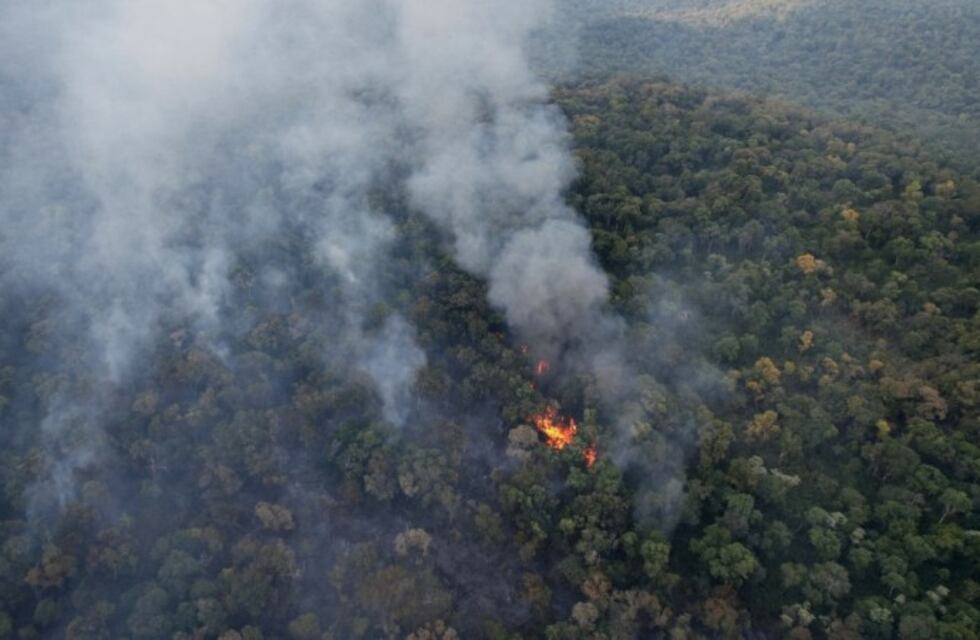 Continúan los incendios en la Reserva Guaraní en El Soberbio que ya arrasó con más de 300 hectáreas de selva
