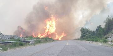 Se reactivan los incendios en Bariloche.