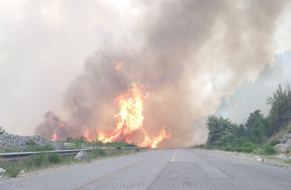 Se reactivó el fuego en Bariloche: video muestra como las llamas rodean la ruta 40