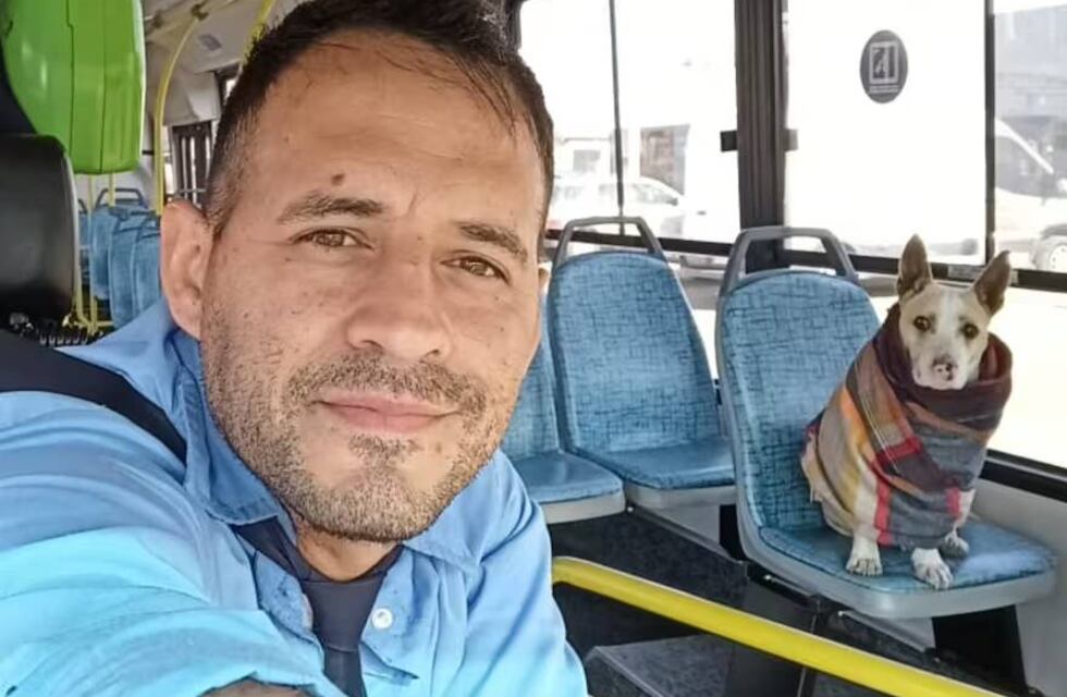 Un colectivero de La Plata muestra en TikTok su pasión por lo que hace y se volvió viral: “¿Tu chofer te cuida así?”