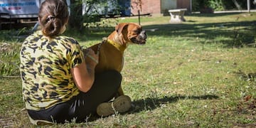 Se pretende establecer buenos hábitos de convivencia para evitar que los animales se comporten de forma agresiva