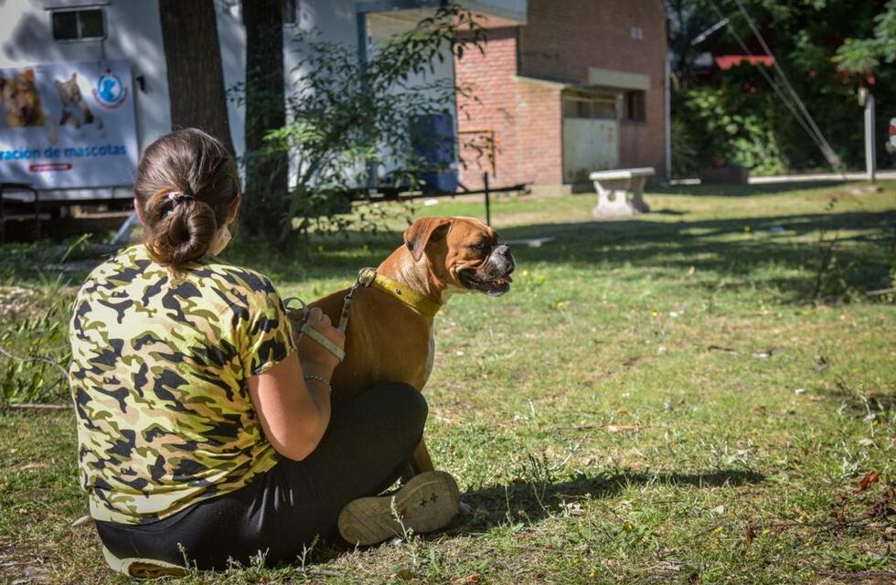 Brindan recomendaciones para la tenencia responsable de mascotas