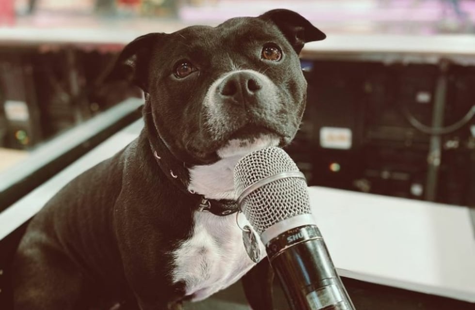 Marta Staffy, la perra influencer de Cachete Sierra