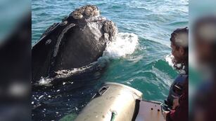 Mariano Sironi y Hueso se conocen hace 24 años.