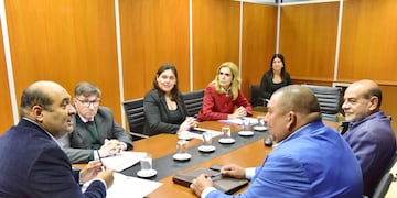 Analizaron en una comisión de la Legislatura
