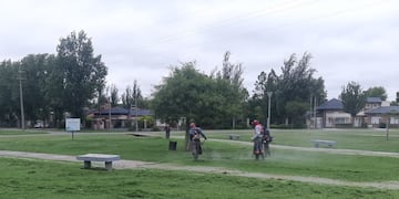 Desmalezado en Rafaela