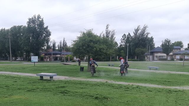 Desmalezado en Rafaela