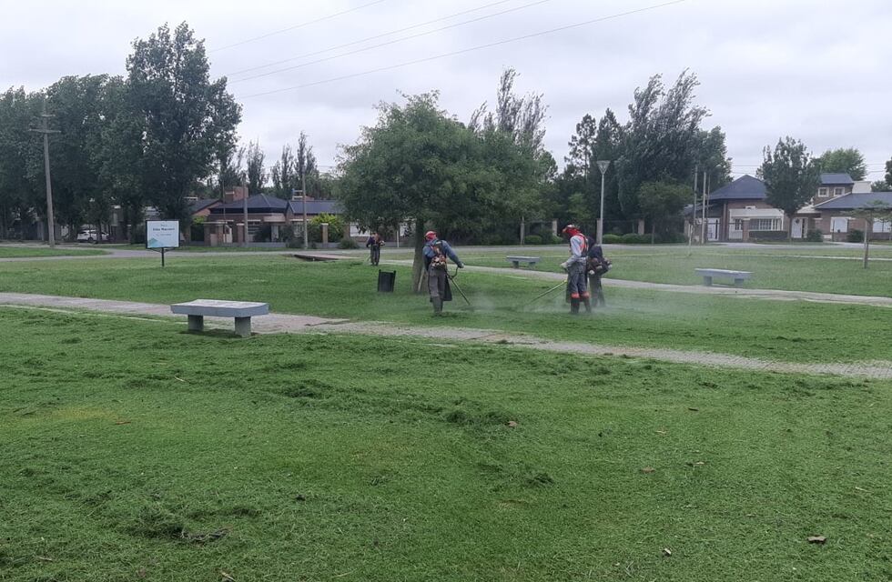 Corte de pasto y prevención del dengue: acciones conjuntas para una ciudad más saludable