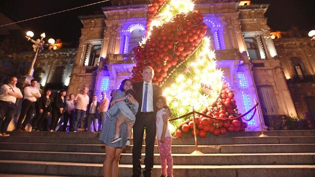 Inauguraron el árbol de Navidad en la explanada de Casa de Gobierno