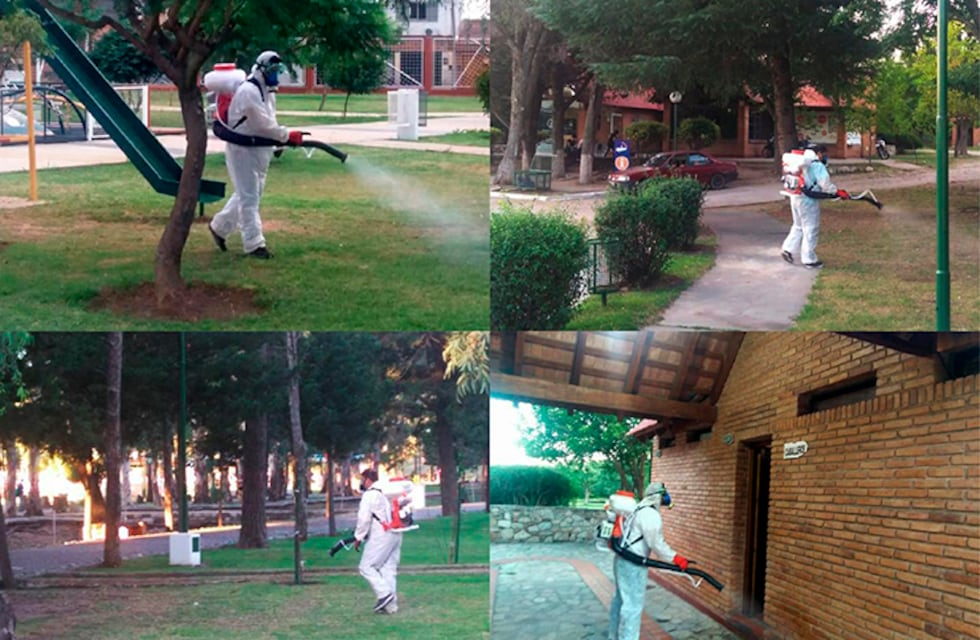 Continúa la fumigación de parques contra el dengue