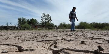 La sequía en Lavalle y problemas con ganados caprino aumentan con las temperaturas del verano.