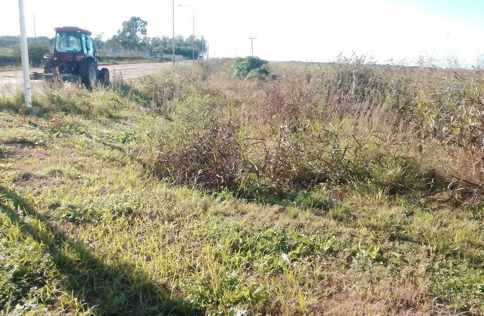 Con el desmalezado del tránsito pesado, la Municipalidad dice que ahorra hasta $15 millones