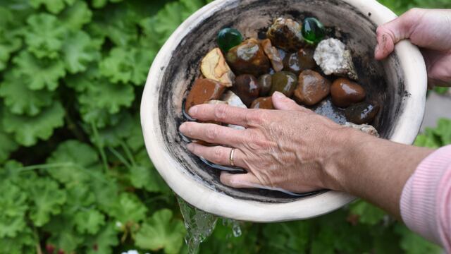 El descacharrado, clave para evitar el dengue