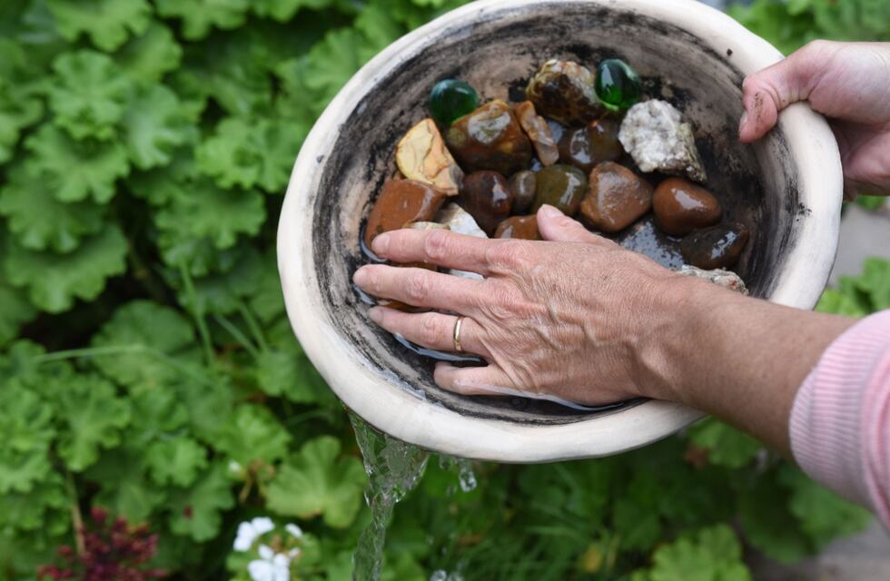 Dengue: tras las lluvias, piden limpiar los patios