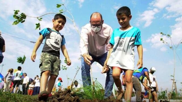 Jornada de arborización en Posadas y Garupá.