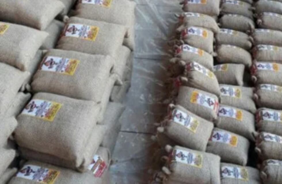 Posadas: secuestran yerba mate importada sin registros legales