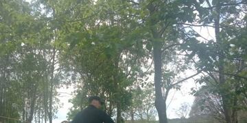 Recuperan ganado robado en 25 de Mayo.
