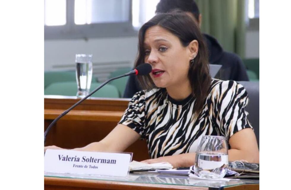 Aprobaron tres proyectos de Valeria Soltermam