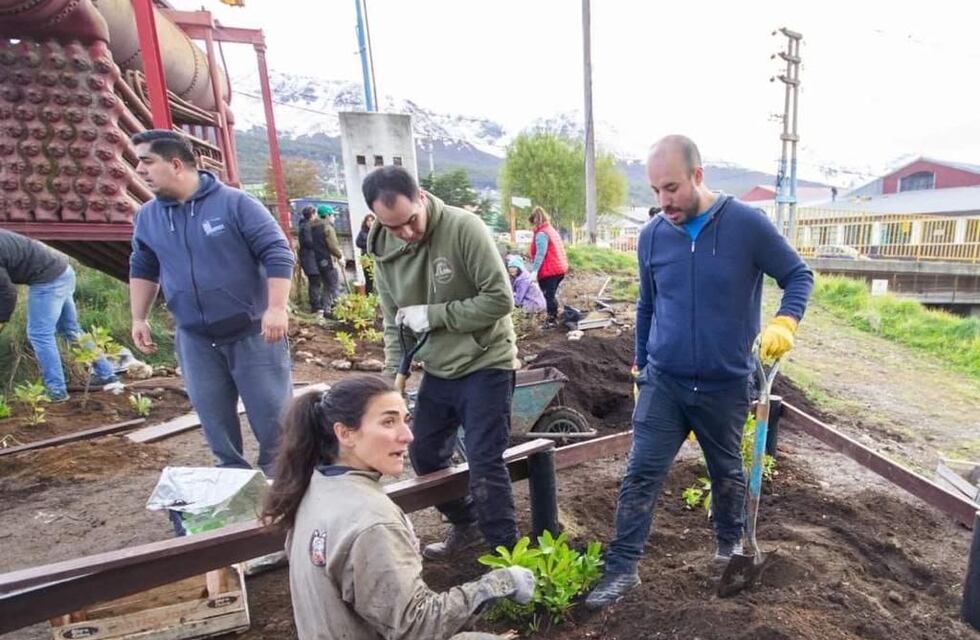 Exitosa jornada de plantación de árboles autóctonos en Ushuaia