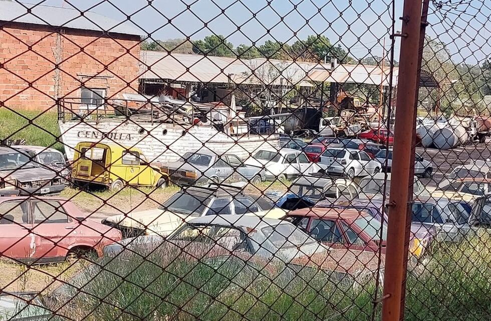 Punta Alta: piden prevención contra el Dengue en los corralones municipales